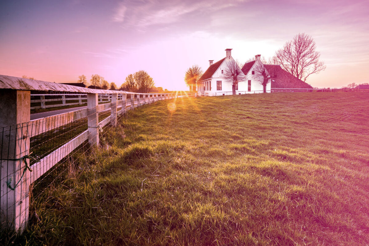 Colibri Gestion - accompagnement éleveurs et pensions