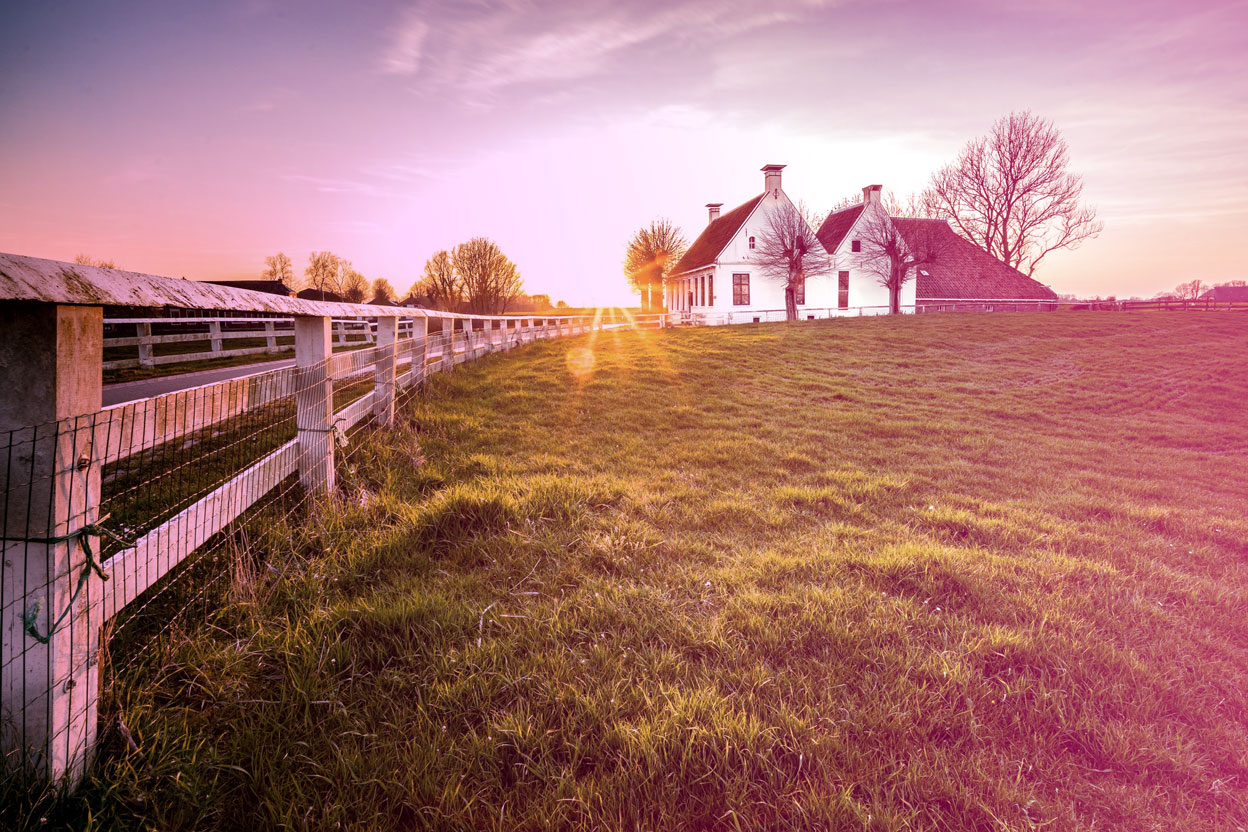 Colibri Gestion - accueil